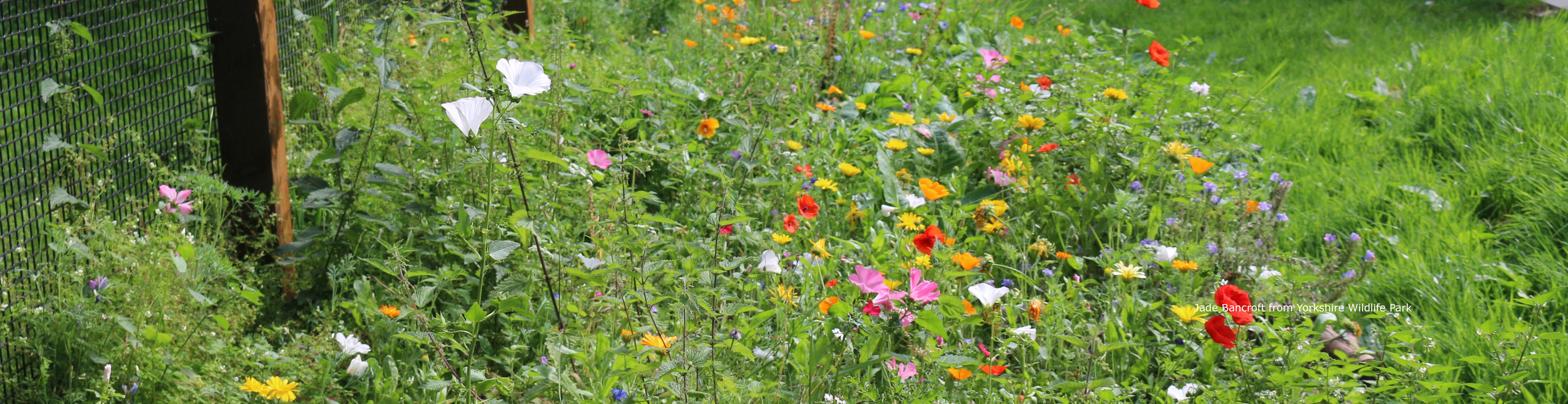 Grab that Gap Jade Bancroft.jpg 1280x 330