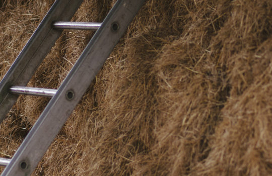 Hay & ladder.jpg 500x 180