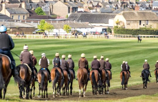 Newmarket