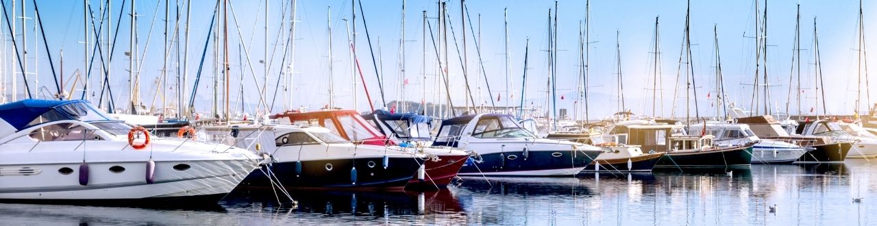 Membership organisation insurance