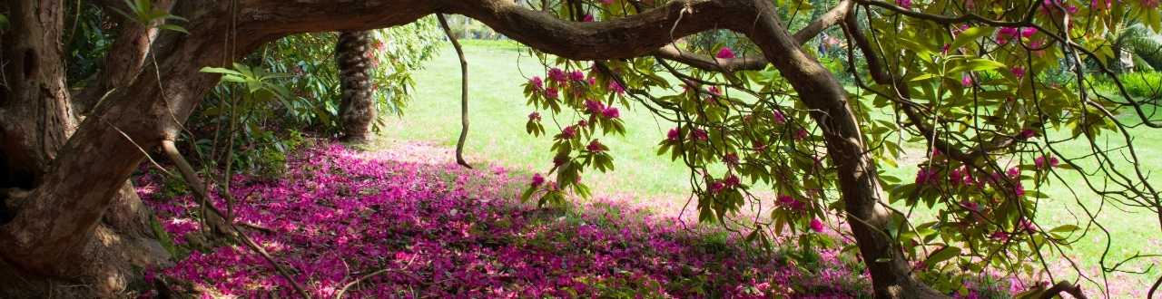 Not-for-profit Insurance