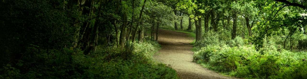 Alternative Investment