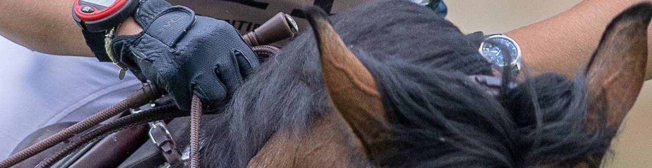 Competition Horse Insurance