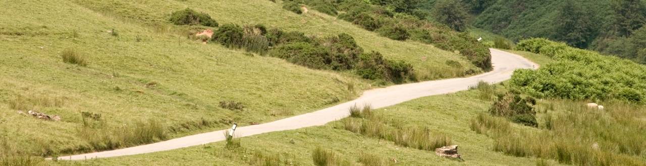 Estate Legal Expenses Insurance