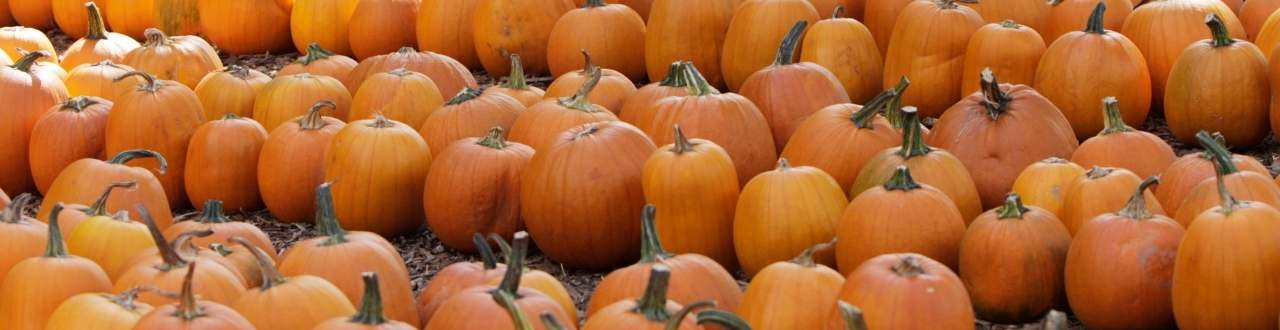 Farm Diversification Insurance