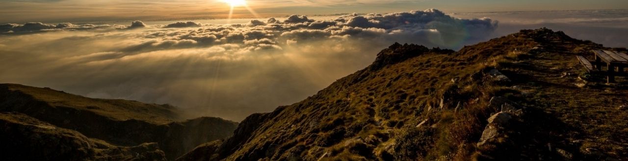 Group Life assurance