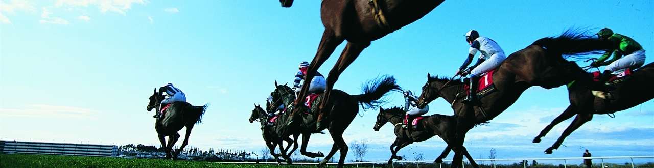 Racing Industry Insurance