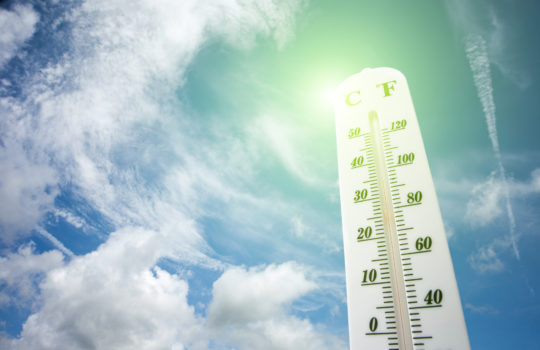 Heat Stress Warning