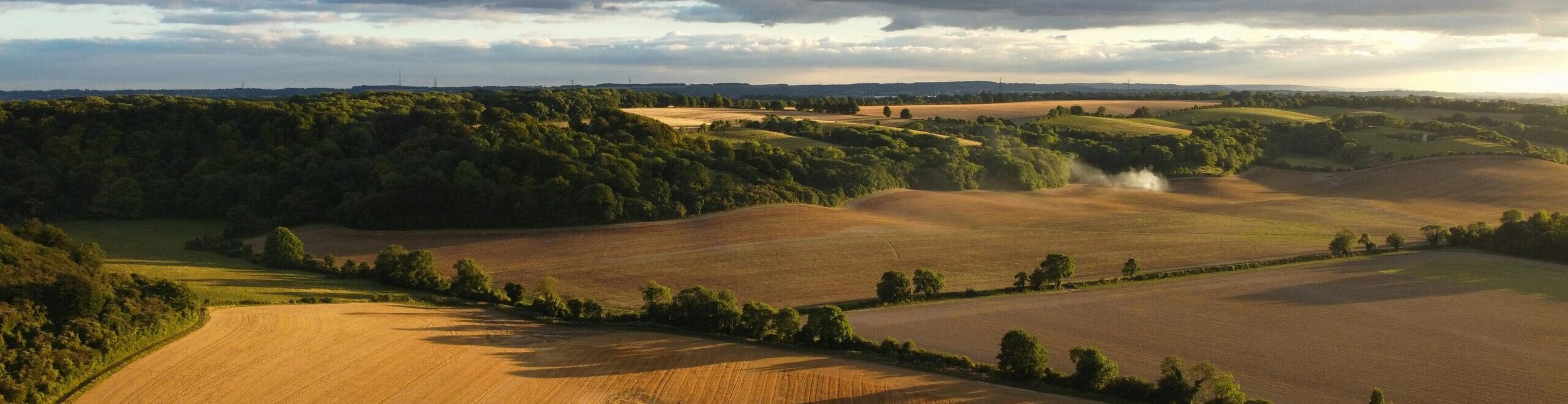 https://www.lycetts.co.uk/wp-content/uploads/2026/05/Rural-2-scaled-e1784559942402.jpg